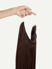 Chocolate Brown #6